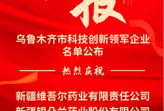 【奋进强国路 阔步新征程】高新区（新市区）4家企业入选2024年度乌鲁木齐市科技创新领军企业名单