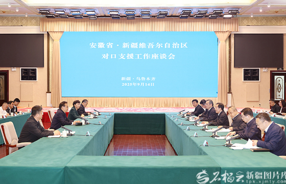 安徽省党政代表团来疆考察对接对口支援与合作发展工作