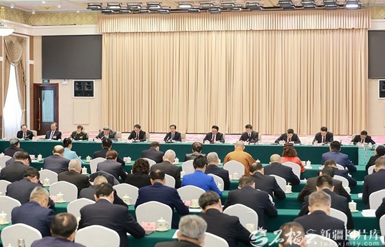 陈小江参加自治区政协会议联组讨论