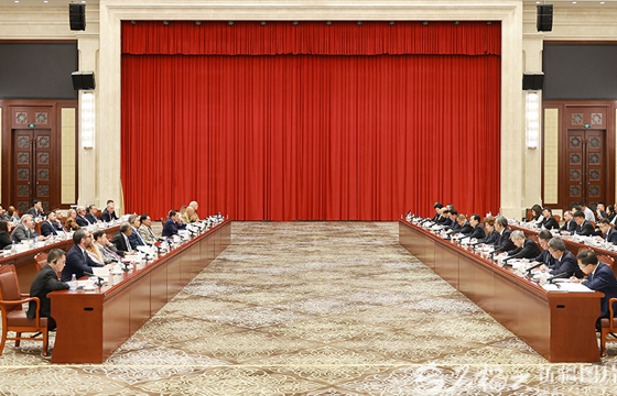陈小江艾尔肯·吐尼亚孜会见国际知名人士新疆友好交流会参会代表
